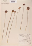 000000476-thumbnail.jpg