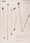 000000477-thumbnail.jpg