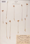 000000482-thumbnail.jpg