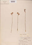 000000484-thumbnail.jpg