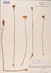 000000488-thumbnail.jpg