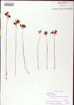 000000489-thumbnail.jpg