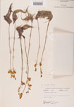 000000503-thumbnail.jpg