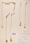000000514-thumbnail.jpg