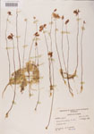 000000520-thumbnail.jpg