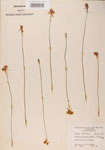 000000524-thumbnail.jpg