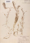 000000533-thumbnail.jpg
