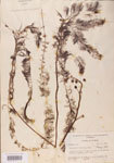 000000535-thumbnail.jpg