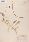 000000537-thumbnail.jpg