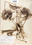 000000541-thumbnail.jpg