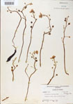 000000544-thumbnail.jpg