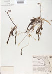 000000546-thumbnail.jpg