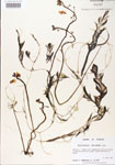 000000548-thumbnail.jpg