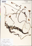 000000549-thumbnail.jpg