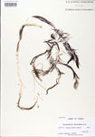 000000550-thumbnail.jpg