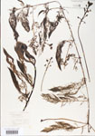 000000552-thumbnail.jpg