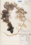 000000553-thumbnail.jpg