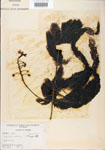 000000554-thumbnail.jpg