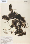 000000557-thumbnail.jpg