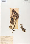 000000560-thumbnail.jpg