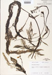 000000569-thumbnail.jpg