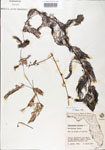 000000570-thumbnail.jpg