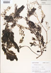 000000574-thumbnail.jpg