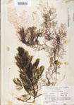 000000580-thumbnail.jpg
