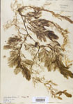 000000587-thumbnail.jpg