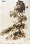 000000592-thumbnail.jpg