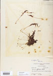 000000596-thumbnail.jpg