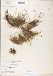 000000602-thumbnail.jpg