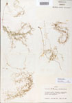 000000603-thumbnail.jpg
