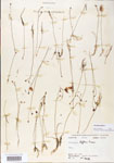 000000605-thumbnail.jpg