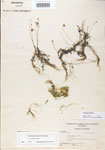 000000610-thumbnail.jpg