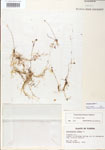 000000611-thumbnail.jpg