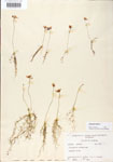 000000612-thumbnail.jpg