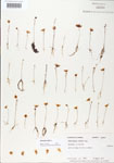 000000613-thumbnail.jpg