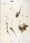 000000620-thumbnail.jpg