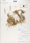 000000624-thumbnail.jpg