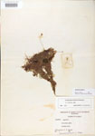 000000625-thumbnail.jpg