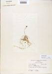 000000629-thumbnail.jpg
