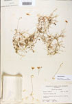 000000632-thumbnail.jpg