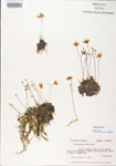 000000635-thumbnail.jpg