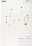 000000636-thumbnail.jpg
