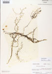 000000642-thumbnail.jpg