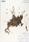 000000644-thumbnail.jpg