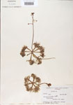 000000649-thumbnail.jpg