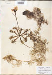 000000664-thumbnail.jpg