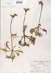 000000666-thumbnail.jpg